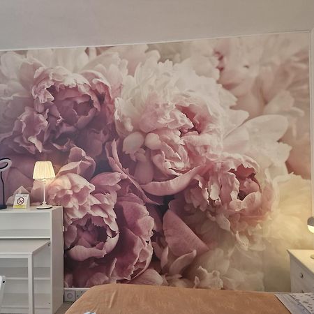 리보르노 Casa Le Coccole 아파트 외부 사진